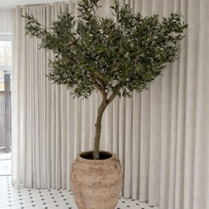 Olivträd | Konstgjort Äkta stam UV 240 cm