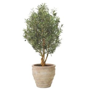 Olivträd | Konstgjord äkta stam knotig 170 cm