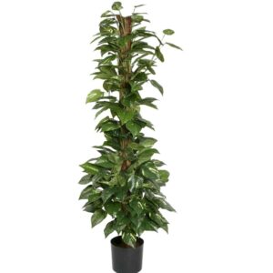 Gullranka| Konstgjord Kokosstam Grön Creme UV 130 cm