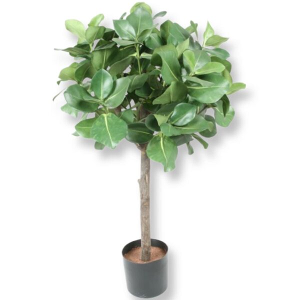 CLUSIA | BOLLFORM 100 CM