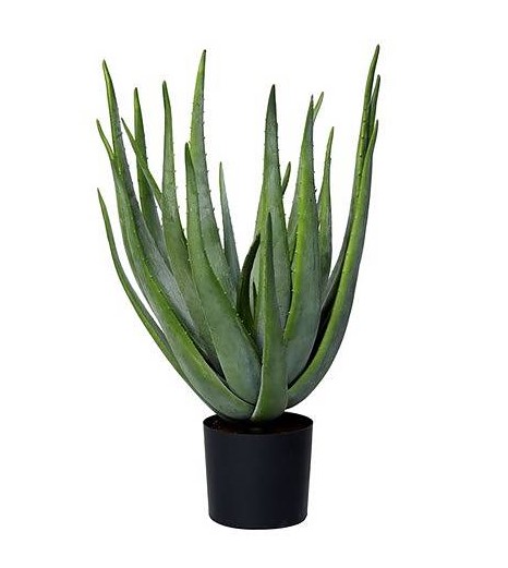 Aloe | Konstgjord Stor Aloe Vera Grön 60 cm - Bild 6