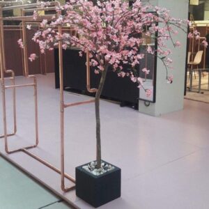 Körsbärsträd Rosa 180 cm