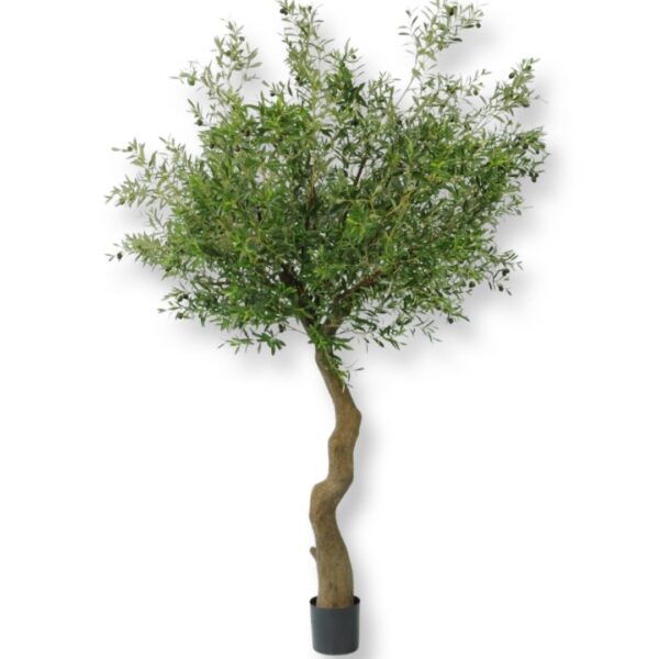 Olivträd | Konstgjort Glasfiberstam Grönt Olivfrukt UV 240 cm