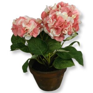 Hortensia | Monterad i krukväxt 103 cm