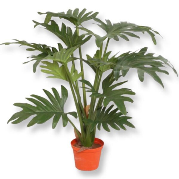 Philodendron | Grön 43 cm