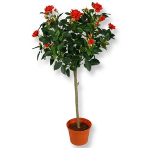 Rosor | Rosbuske röd 67 cm