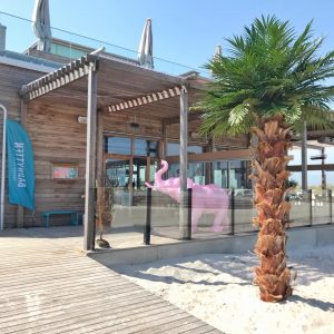 Palm | Konstgjord Areca äkta palmbark  Grön UV 400 cm