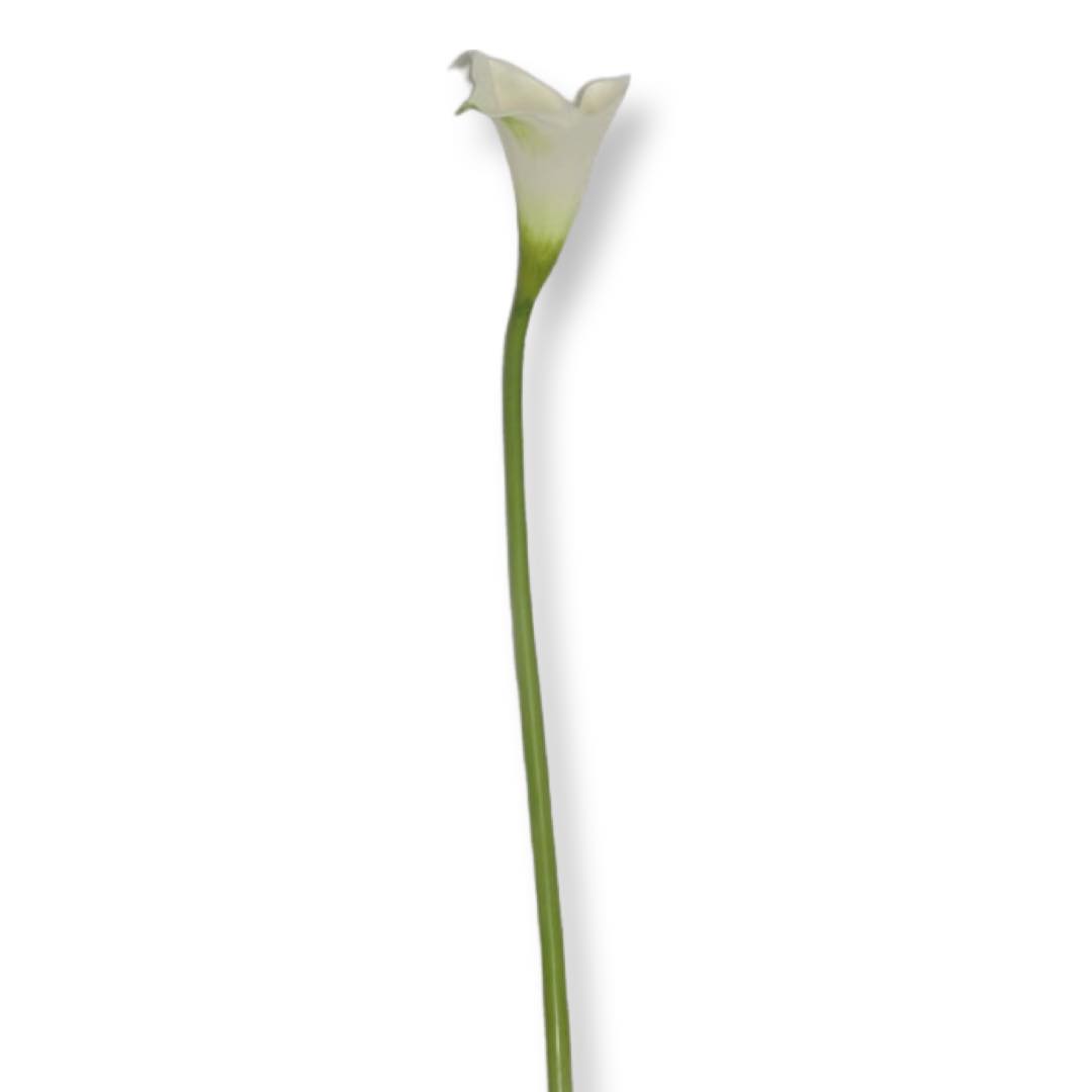 Konstgjord snittblomma vit Calla 80 cm