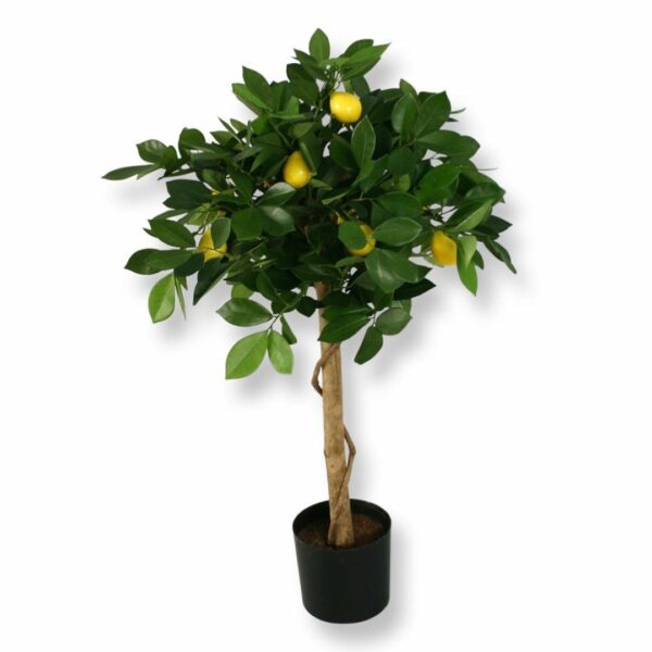 Citronträd | Konstgjord äkta stam 70 cm - Bild 5