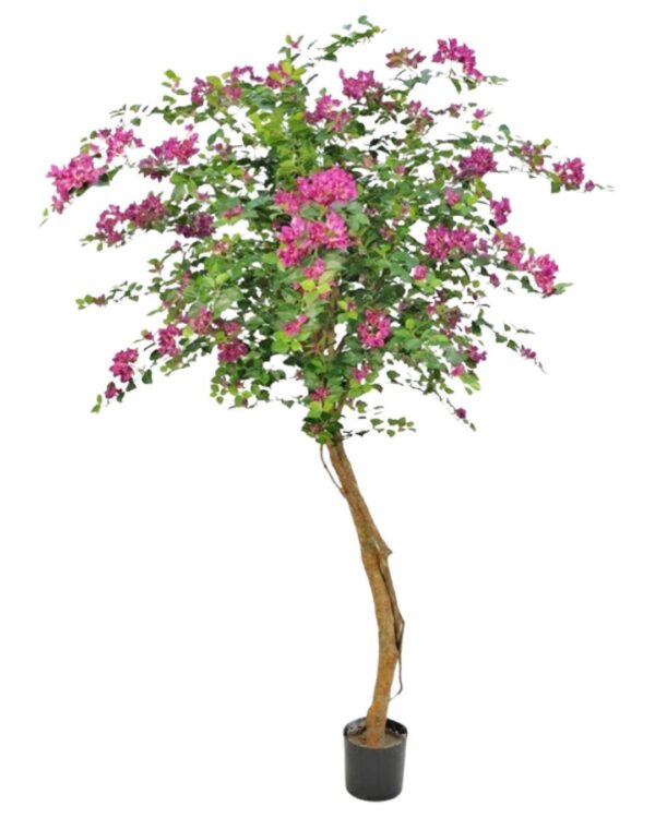 Bougainvillea | Djup Rosa/Lila 240 cm