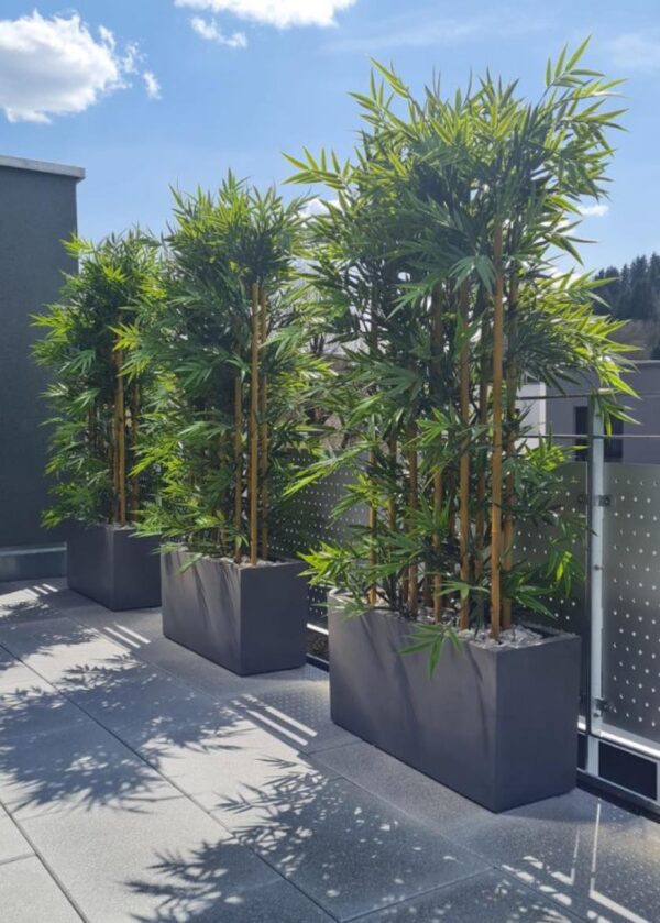 Bambu | Högklassig New Bambu Grön 200 cm