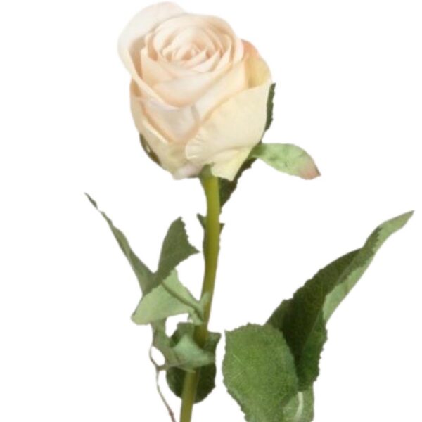Ros | Konstgjord snittblomma cream 75 cm - Bild 2