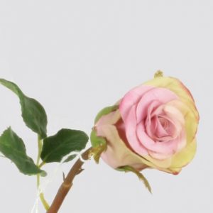 Ros | Gurli 70 cm