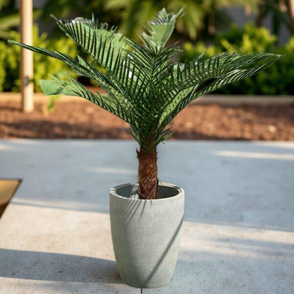 Palm | Konstgjord Kanarie äkta palmfaser Grön UV 150 cm - Bild 3