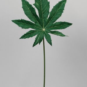 Ricinius green 40 cm