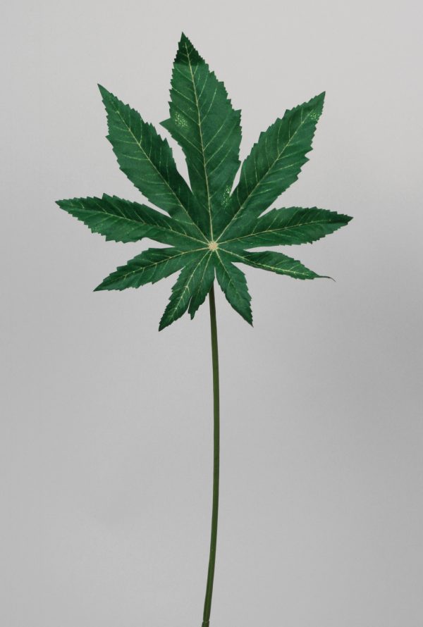 Ricinius green 40 cm