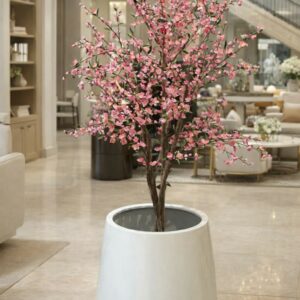 Körsbärsträd | Körsbärsblom äkta stam Rosa 180 cm