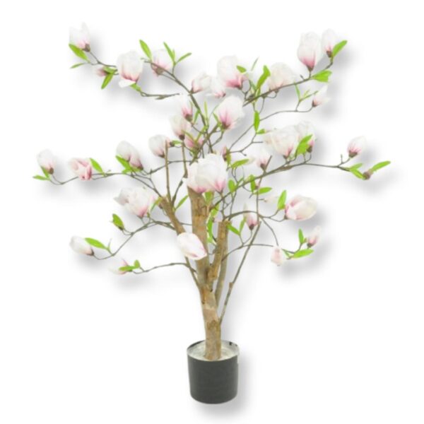 MAGNOLIA | LITET TRÄD ROSA 80 CM