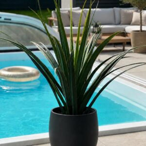 Agave Långa bladverk Grön 130 cm