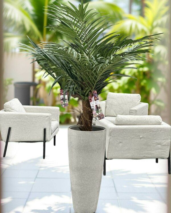 Palm | Konstgjord Areca med äkta palmfaser konstgjorda 150 cm - Bild 2