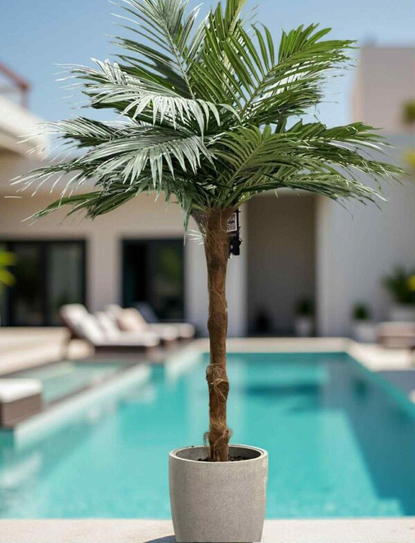Palm | Konstgjord Areca med äkta palmfaser konstgjorda 240 cm