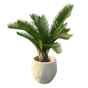 Konstgjord UV-skyddad Cycas kottepalm 65 cm med naturtrogna gröna palmblad