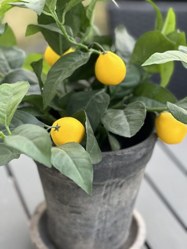 Citronträd | Konstgjord - Krukväxt 35 cm - Bild 4