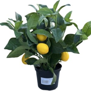 Citronträd | Konstgjord - Krukväxt 35 cm
