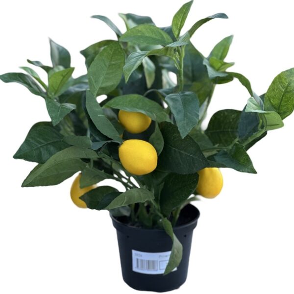 Citronträd | Konstgjord - Krukväxt 35 cm