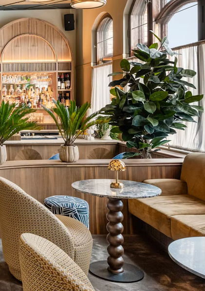 Fikus | Konstgjord Robusta äkta stam Grön UV 170 cm