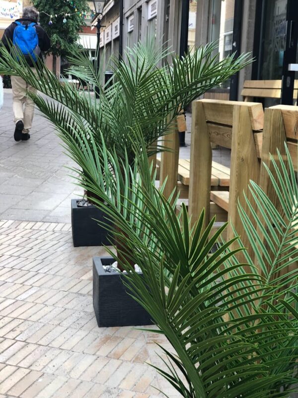 Palm | Konstgjord Kanarie äkta palmfaser Grön UV 150 cm - Bild 7