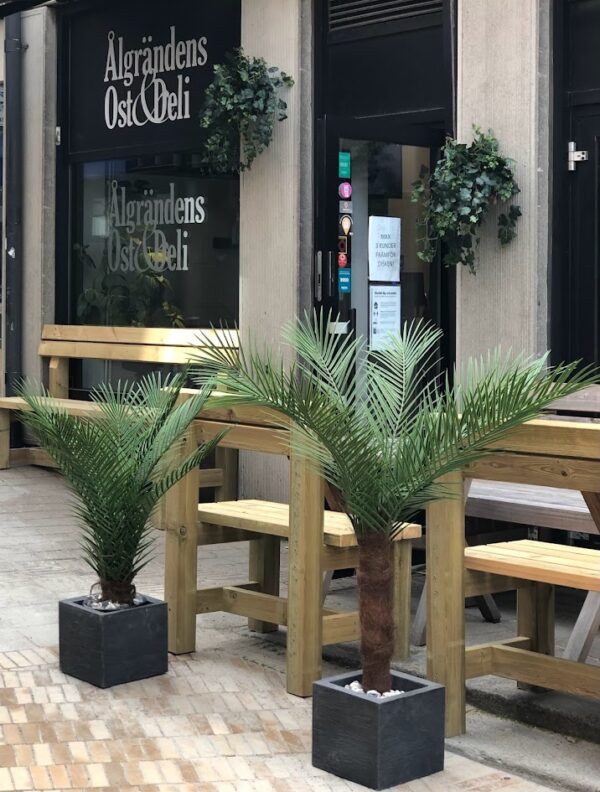 Palm | Konstgjord Kanarie äkta palmfaser Grön UV 150 cm - Bild 9