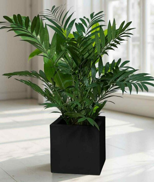 Konstgjord Bergspalm 150 cm på webflower