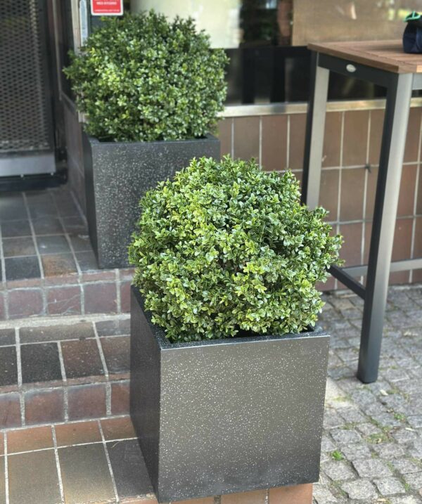 Buxbom | Konstgjord Grön Boll äkta trädstam UV 50 cm - Bild 9