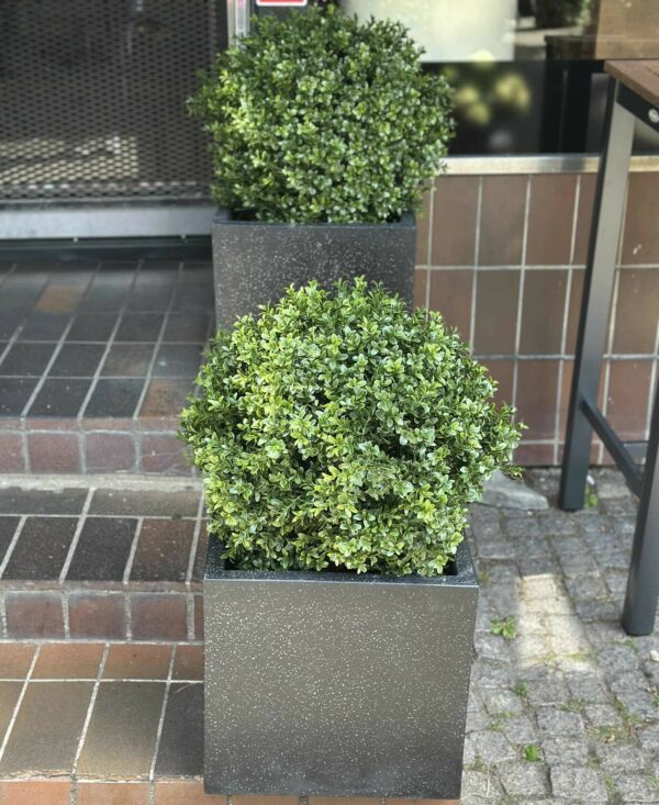 Buxbom | Konstgjord Grön Boll äkta trädstam UV 50 cm - Bild 10