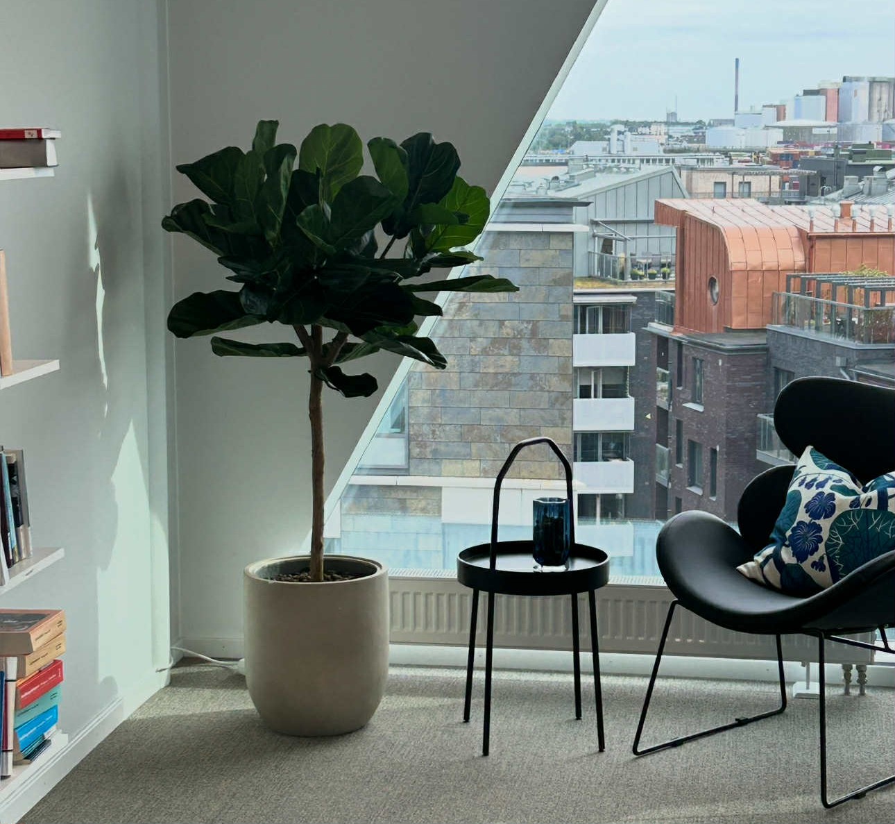 Fikus | Konstgjord Fiolfikus Grön äkta stam UV 140 cm - Bild 4