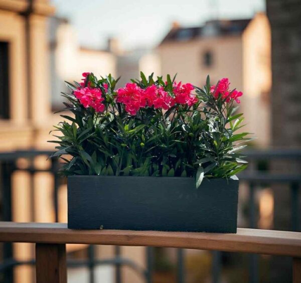Konstgjord rosa oleander flera tillsammans på balkong