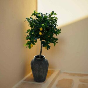 Konstgjort citronträd 140 cm i urna