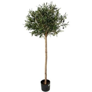 Olivträd | Konstgjord Bollform äkta stam UV 140 cm