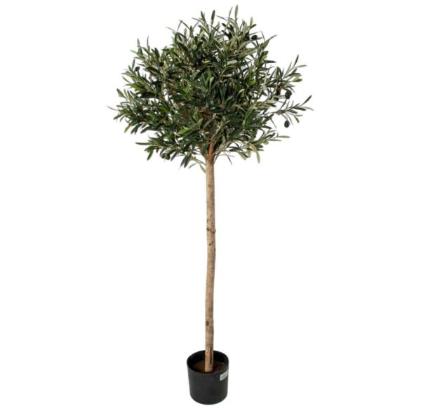 Olivträd | Konstgjord Bollform äkta stam UV 140 cm