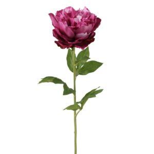 PION | KONSTGJORD SNITTBLOMMA MÖRKROSA 51 CM