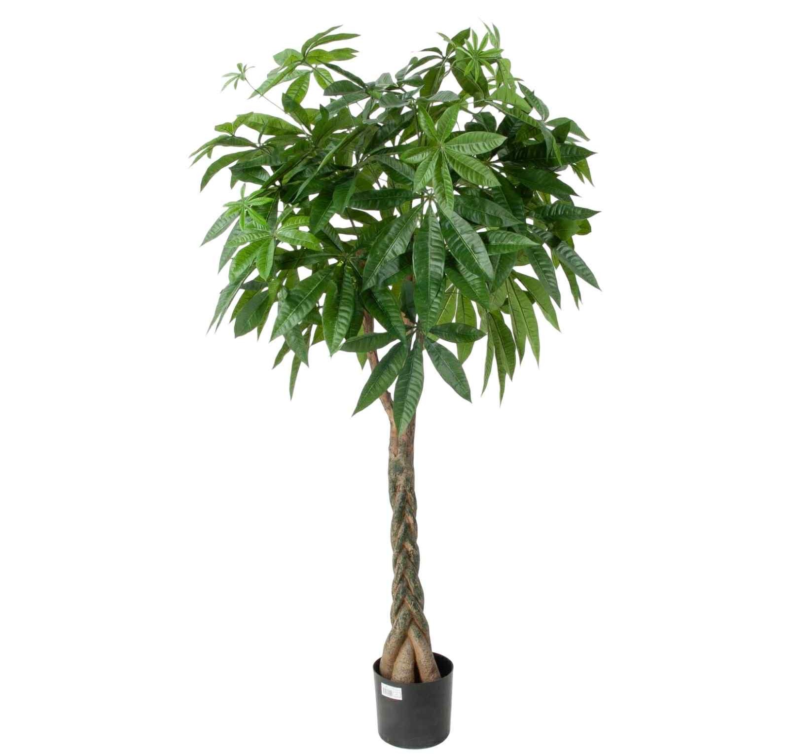 Konstgjord Pachira - Strandkastanj 130 cm