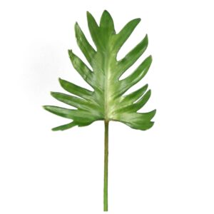 Blad | Philodendron blad 53 cm
