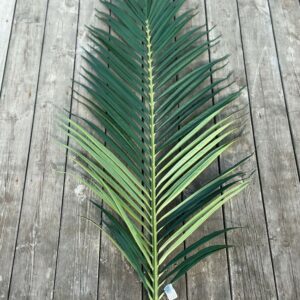 Konstgjort palmblad Areca grönt UV 149 cm