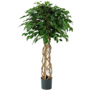 Fikus | Konstgjord grön Exotica 140 cm