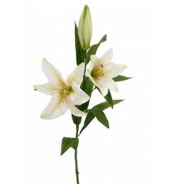 Lilja | Konstgjord snittblomma Tiger Lilja creme 74 cm