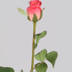 Ros | Maria 45 cm
