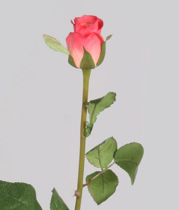 Ros | Maria 45 cm