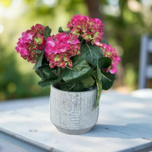 Hortensia Konstgjord Krukväxt rosa grön UV 40 cm