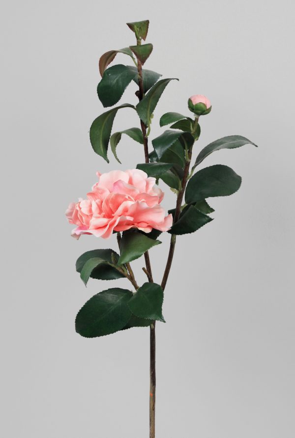 Camelia rosa 47 cm| 12 pack